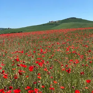 Poggio Tobruk , Пиенца Италия